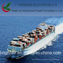 China a Túnez LCL FCL Shipping Sea Freight